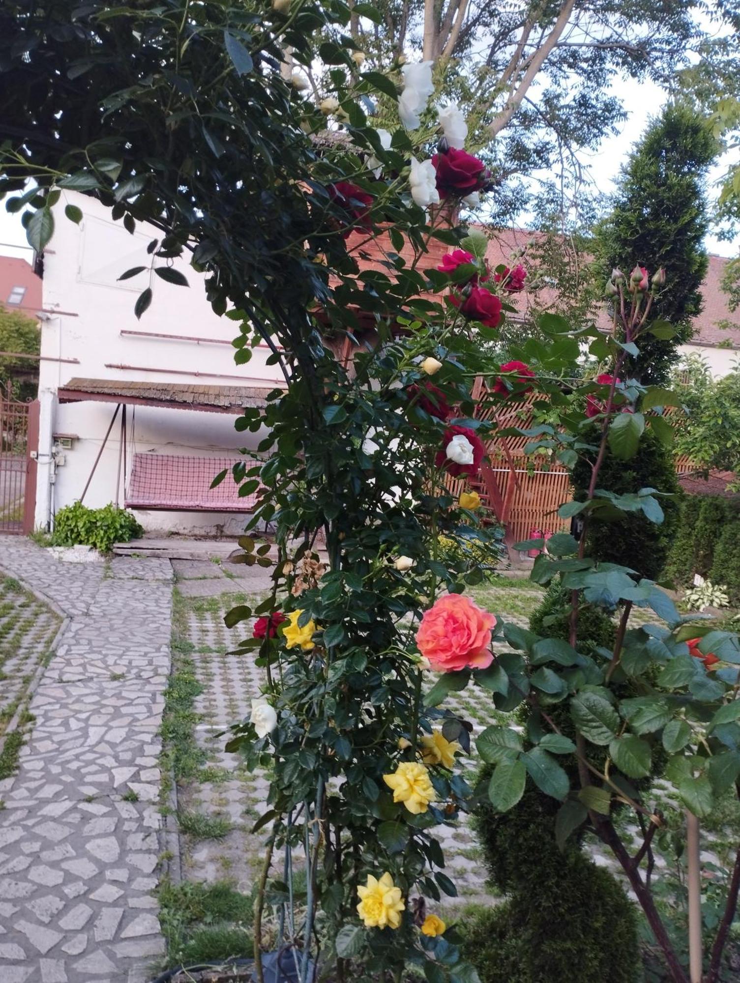 Pensiunea Sub Cetate Deva Esterno foto